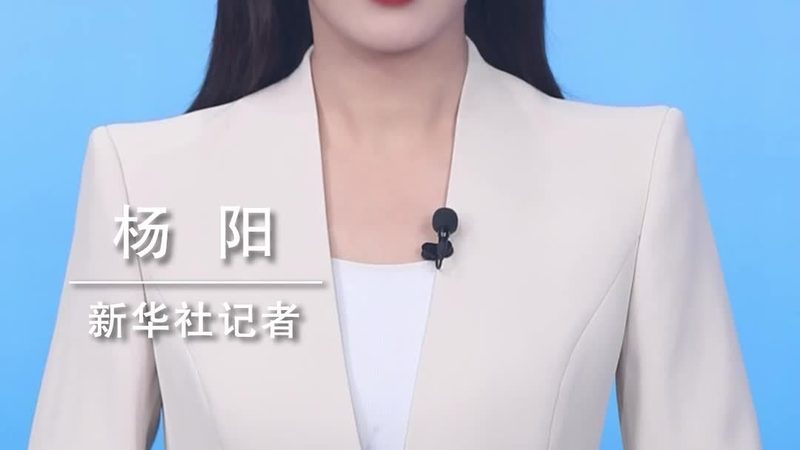 科技咨询项目申报服务流程详解：从准备到验收的全方位解析