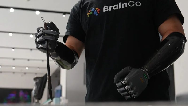 软件稳定性测试：关键步骤与注意事项